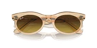 RB2242 Wayfarer Oval Change
