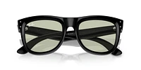 RBR0502S Wayfarer Reverse