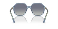 SK6003