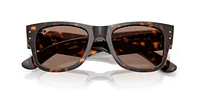 RB0840S Mega Wayfarer Summer Capsule