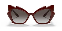 DG6166