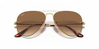 RB3689 Aviator Metal II