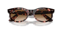 RB2242 Wayfarer Oval
