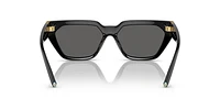 TF4205U