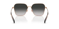 HC7168 CW189