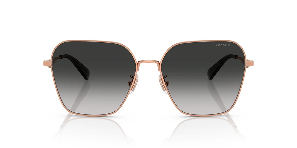 HC7168 CW189