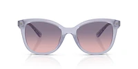 HC8419U CAD25