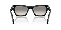 PO0091S