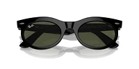 RB2242 Wayfarer Oval