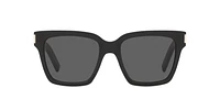 SL 507