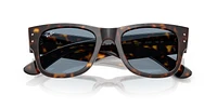 RB0840S Mega Wayfarer Summer Capsule