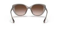 AX4111SU