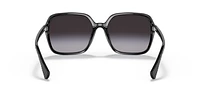 RA5291U