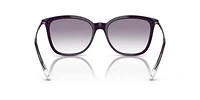 AX4151S
