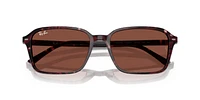 RB2231 Raimond