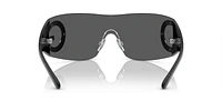 DG2298B