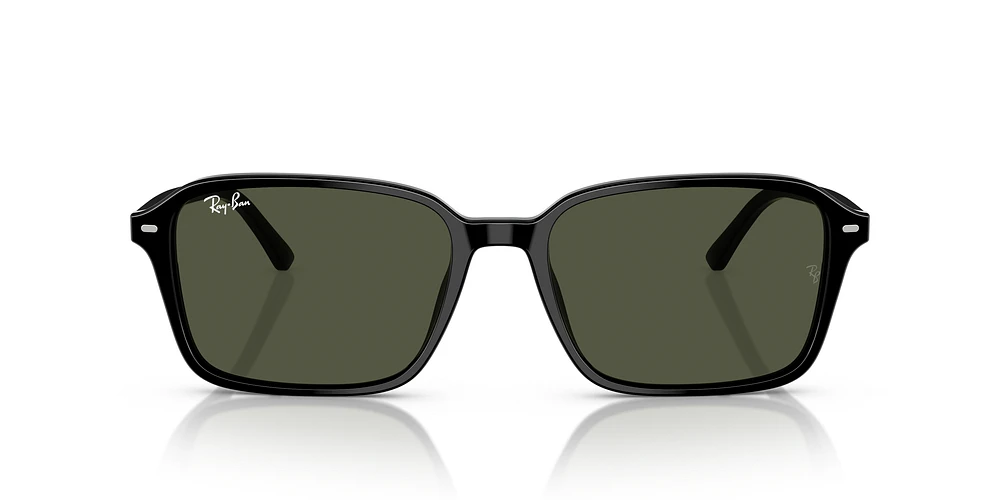 RB2231 Raimond
