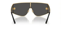 DG2305