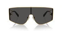 DG2305