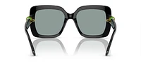 SK6001