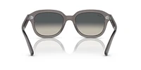 RB4398 Erik