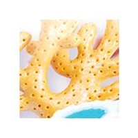 Sculpting Soaps