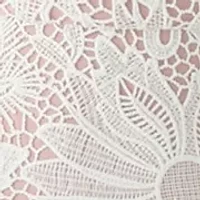 Women's Solid Lace Sheath Dress