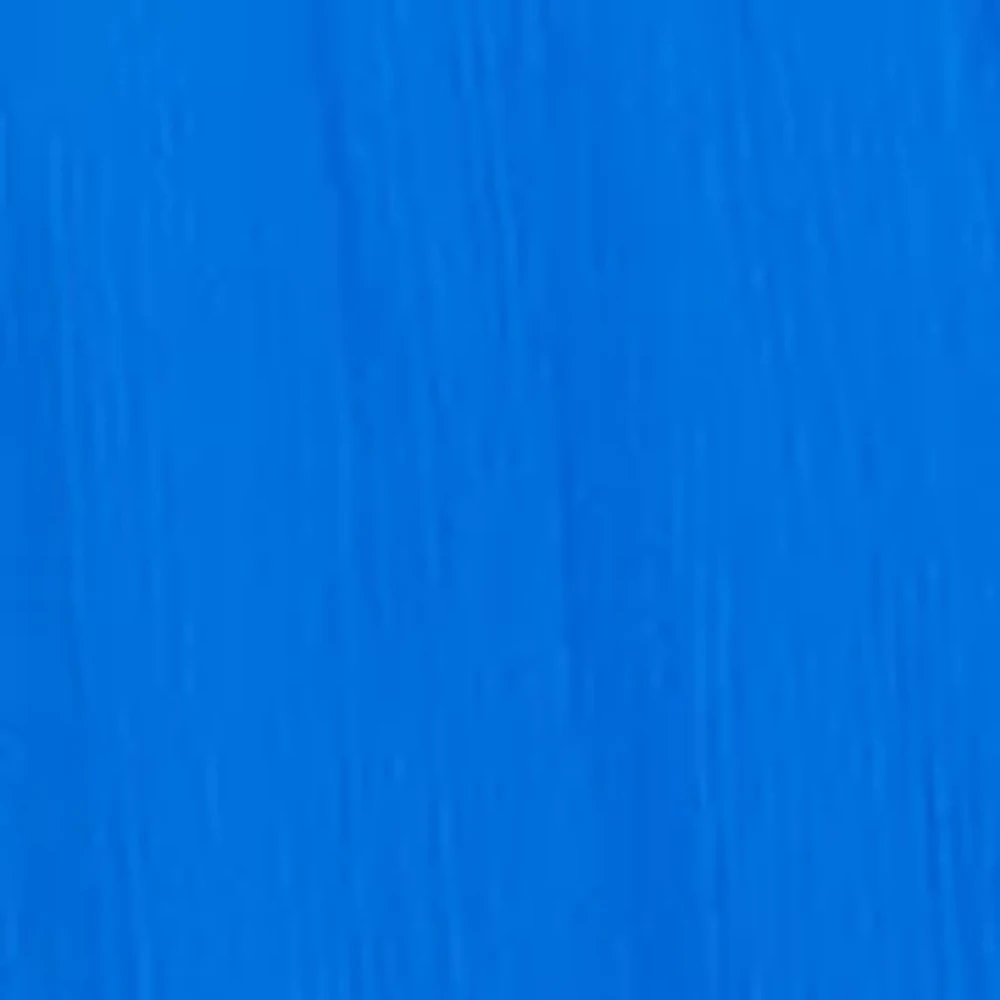 Women's Long Sleeve V-Neck Smocked Waist Solid Chiffon Fit and Flare Dress