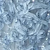 Women's Lace Gown