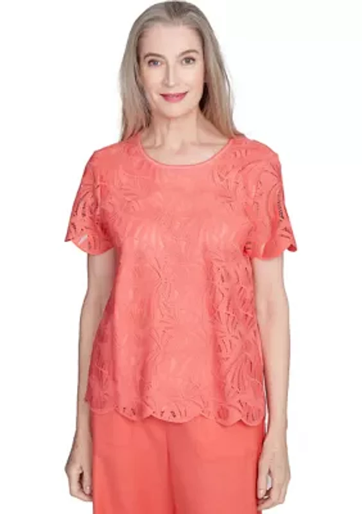 Petite Catalina Island Lace Texture Top