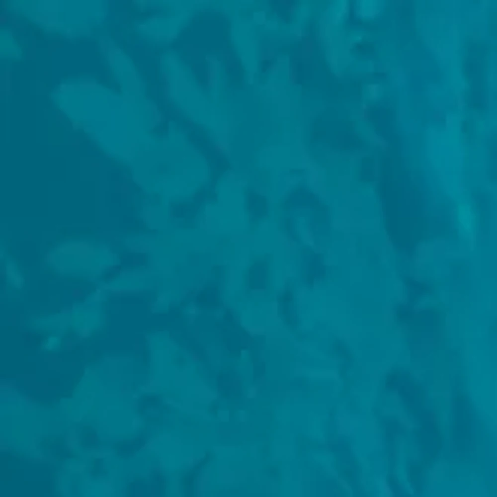 Women's Printed Peasant Top