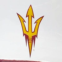 NCAA Arizona State University Carryall Tote