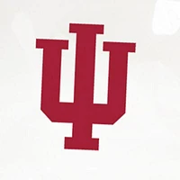 NCAA Indiana University Carryall Tote