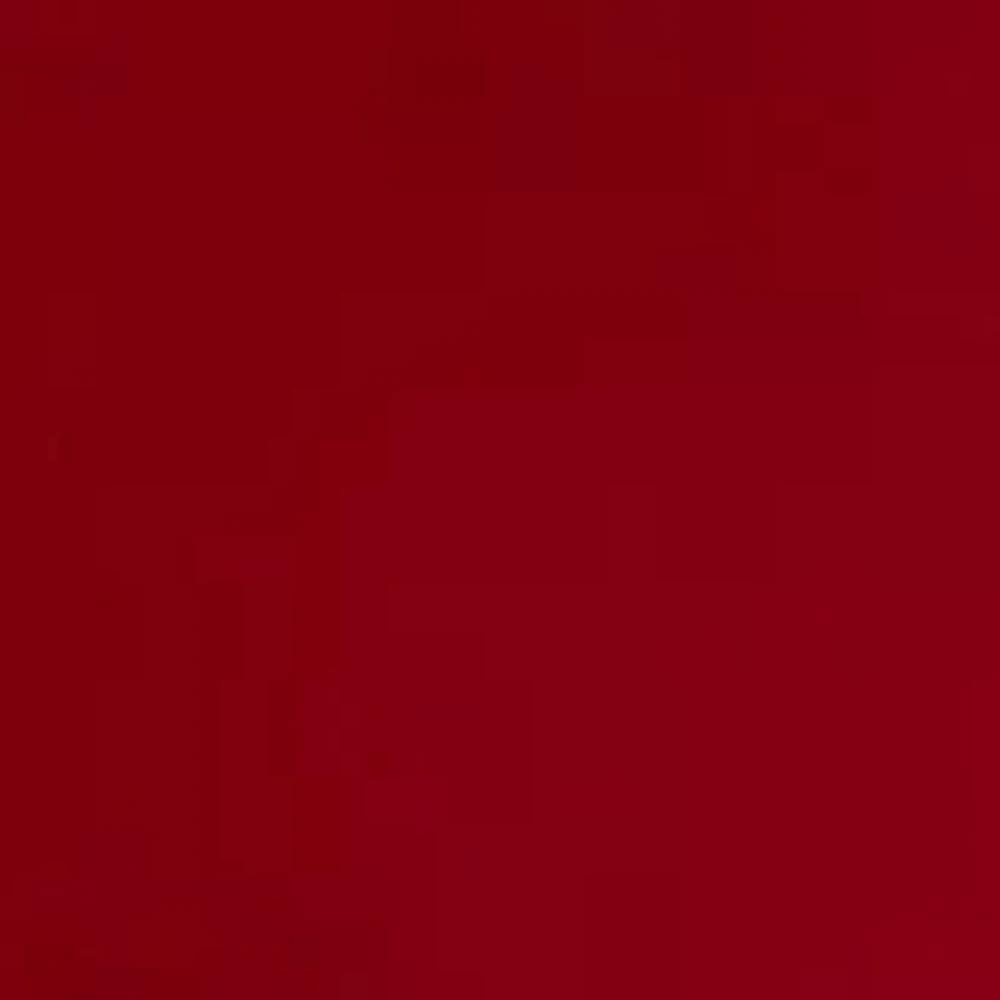 Plus Long Sleeve Raw Edge V-Neck Top