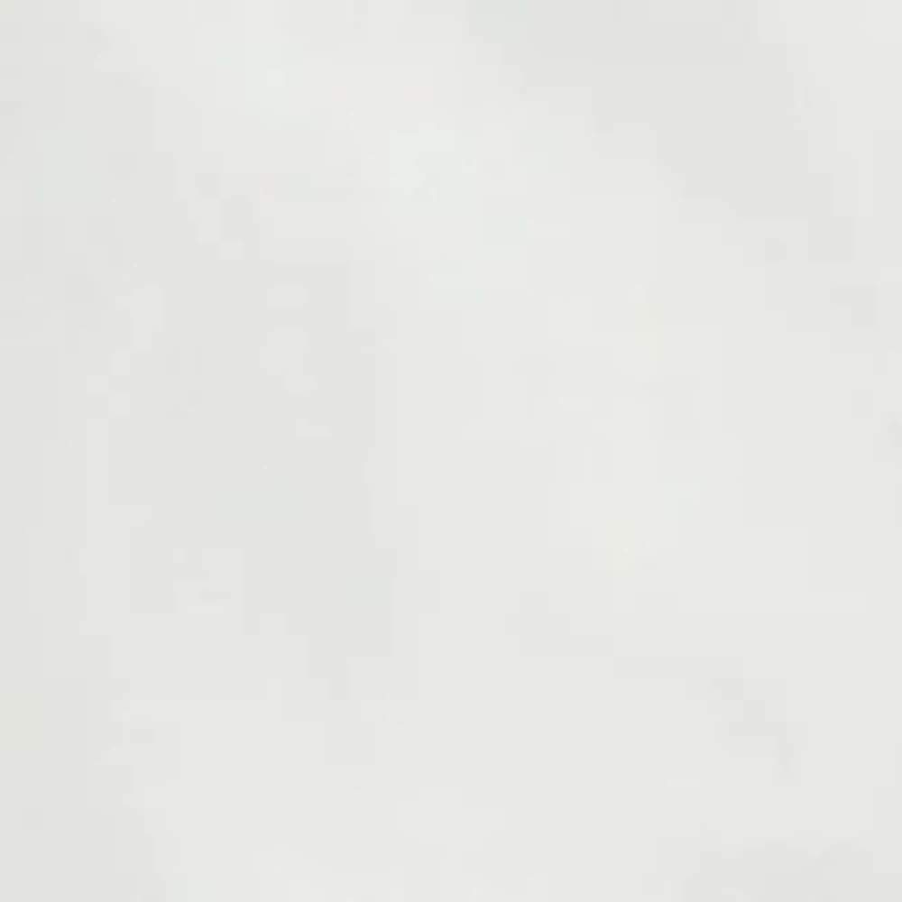 Petite Wide Leg Pull On Pants