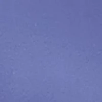 Barely There® Invisible Look Microfiber Bikini Panties
