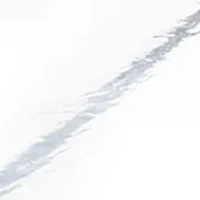 InBrella Umbrella
