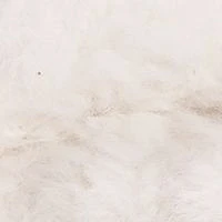 Plush Slippers