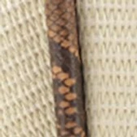 Straw Tote with Snake Trim