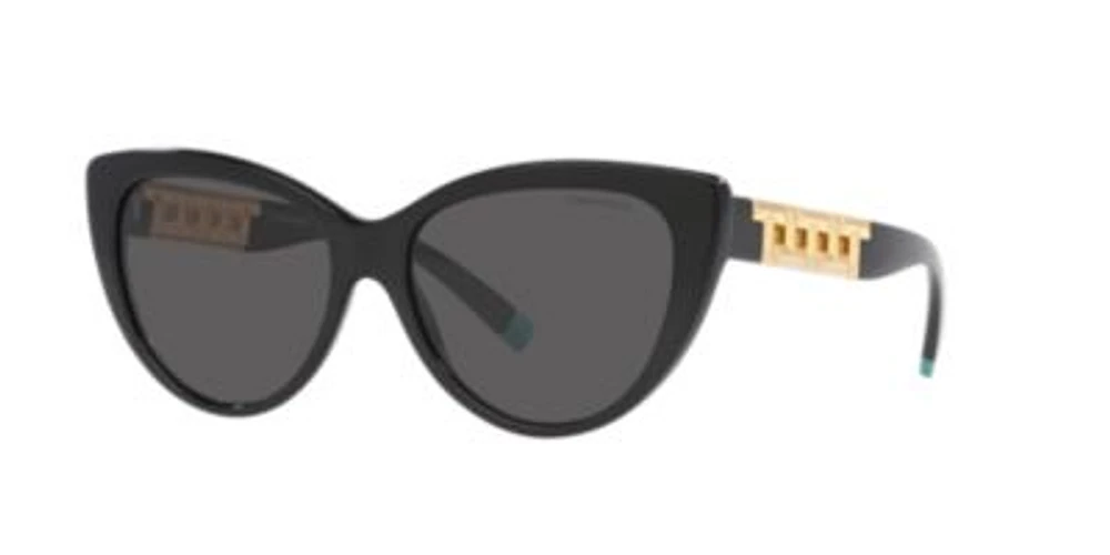 TF4196 Sunglasses