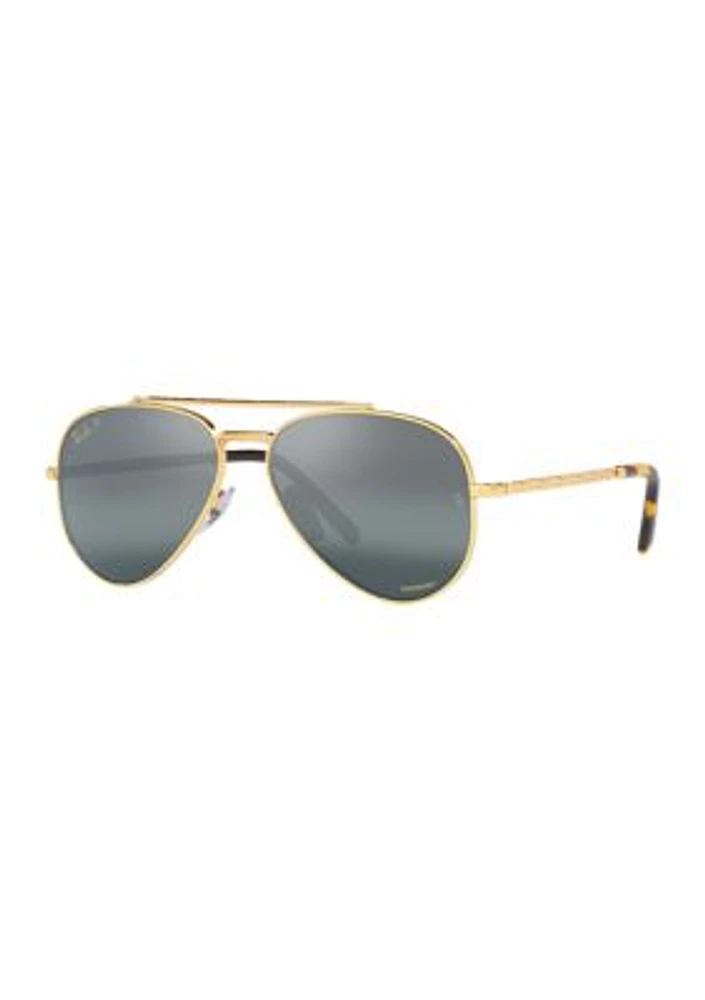 RB4259 Sunglasses