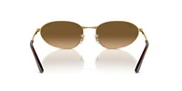 RB3734 Polarized Sunglasses