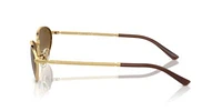 RB3734 Polarized Sunglasses