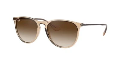 RB4171 Erika Color Mix Sunglasses