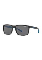 AN4251 Stripe Polarized Sunglasses