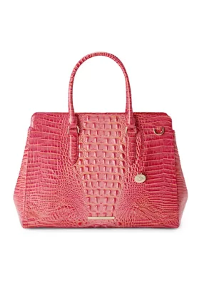 Finley Carryall Satchel