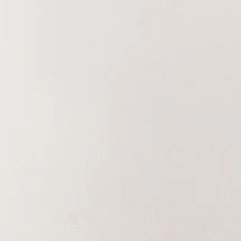 Big & Tall Premium No Iron Classic Fit Flat Front Pants