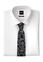 Paisley Silk Tie