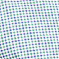 Flex Regular Fit Gingham Poplin Shirt