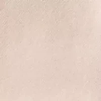 Classic Fleece Hoodie